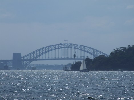 2006_0313jsroe080037