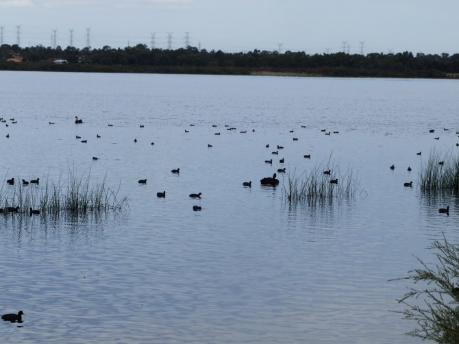 2006_0815bibralakeaug080079